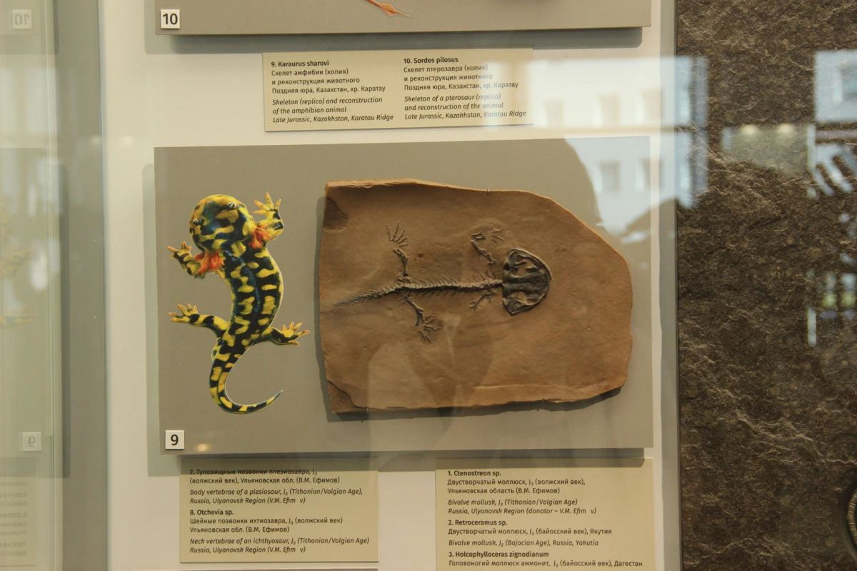 Tour image 4